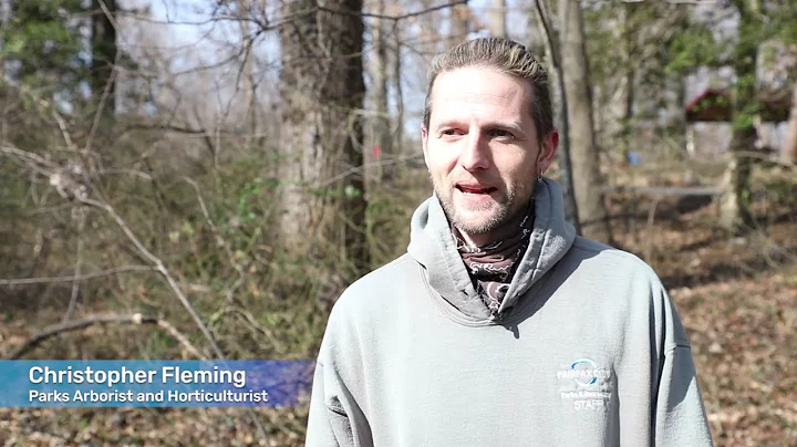 Invasive Plants in Providence Park