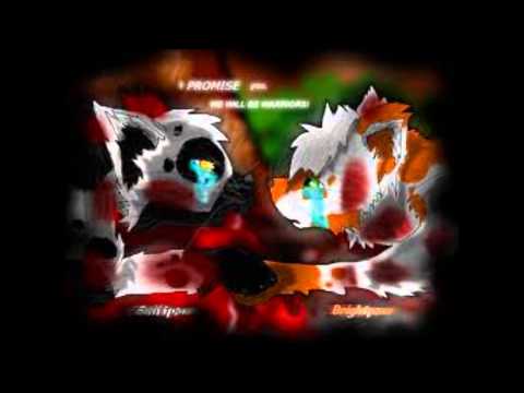 Brightheart's story
