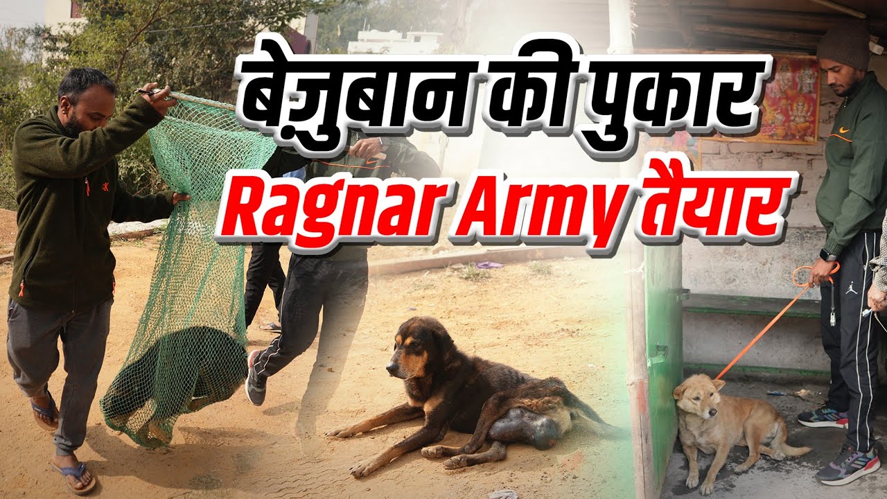 बेज़ुबानों की पुकार | Ragnar Army तैयार | Street Dogs Rescue Story 🐕❤️