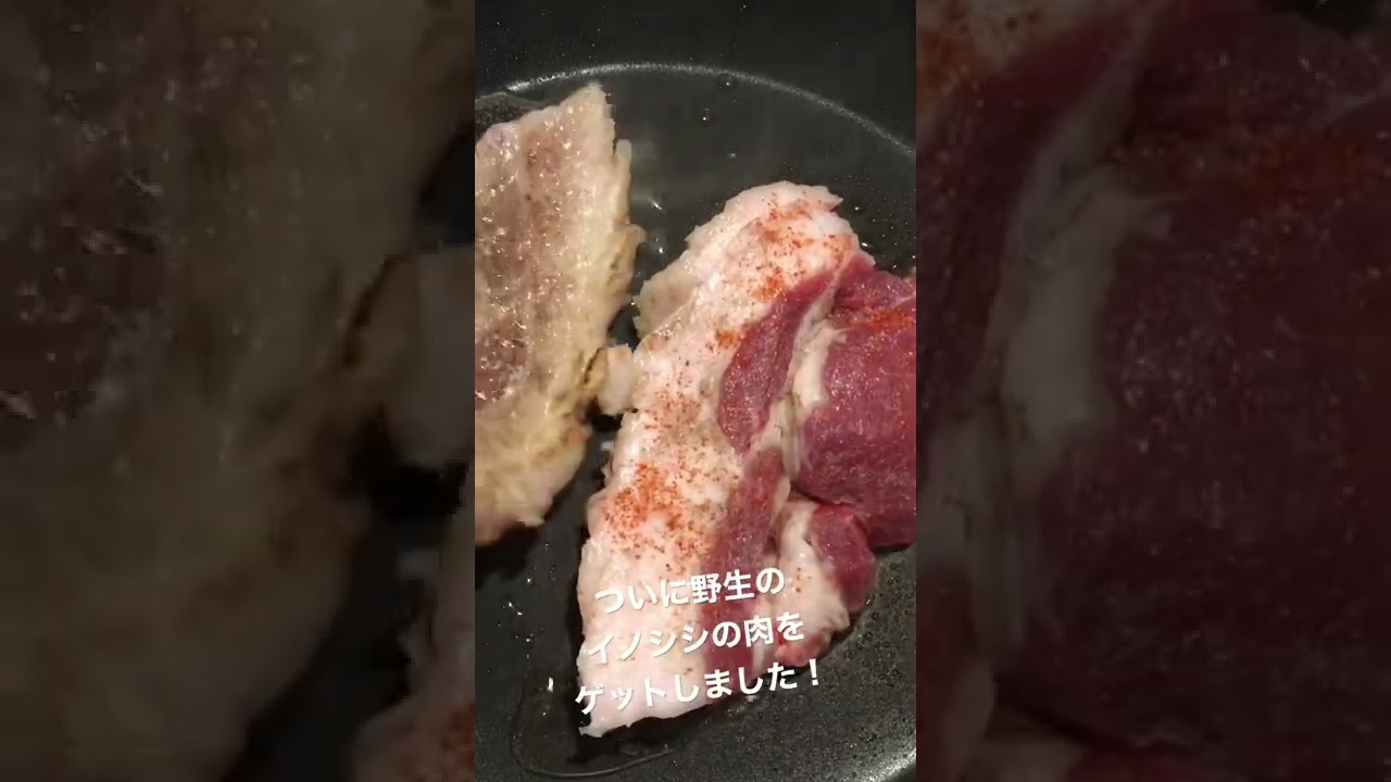 ついに野生のイノシシの肉をゲットしました イノシシ ジビエ 猪 Youtube ついに野生のイノシシの肉をゲットしました イノシシ ジビエ 猪 Youtube