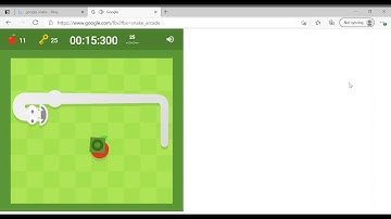 Google Snake Key Mode (Fast, Small, 1 Apple, 25 Apple Split)