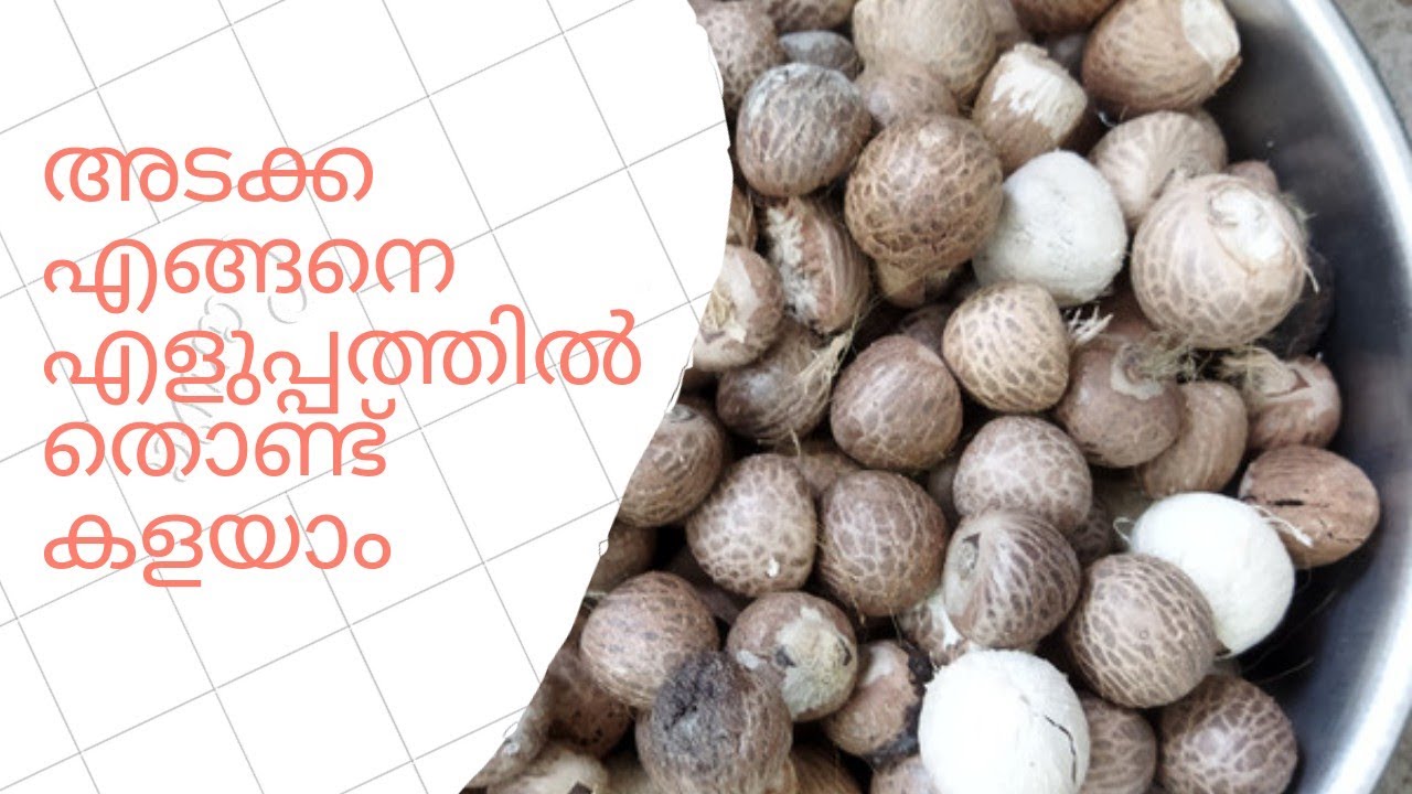 അടക്ക പൊളിക്കുന്ന വിധം /arecanut
