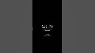 #قران_كريم #ياسر_الدوسري #شاشه_سوداء #سورة_غافر