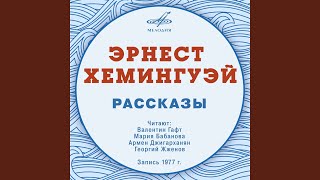 Кошка под дождем Кошка под дождем