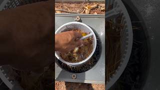 HOW TO CLEAN YOUR POOL SKIMMER BASKET #howto #swimmingpool #skimmer