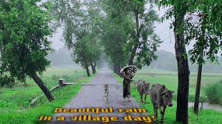 Beautiful rain in a village Day।।Natural Bangladesh।। Beautiful Bangladesh।। Monsoon in Bangladesh।।