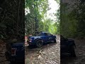 Raptor F150 at the Forest