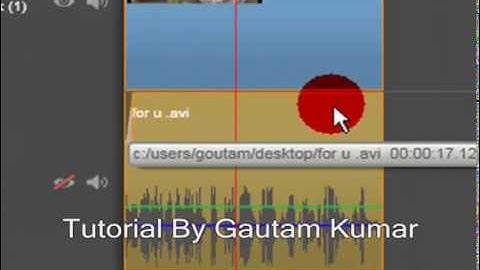 Pinnacle Studio -17 ( How To Remove Audio From Video )