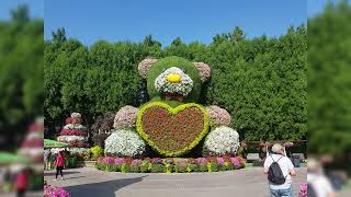 miracle garden in dubai - الحديقة المعجزة (حديقة الزهور بدبى)