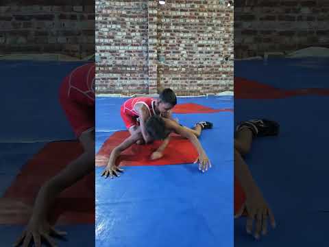 teachniq series 25