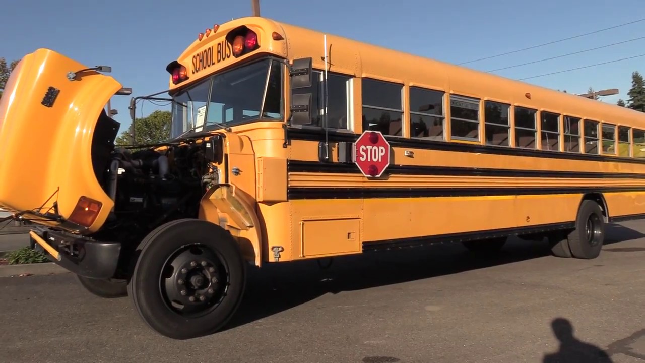 Bluebird School Bus >> 1999 International Bluebird Conventional School Bus B39409 Bluebird School Bus >> 1999 International Bluebird Conventional School Bus B39409