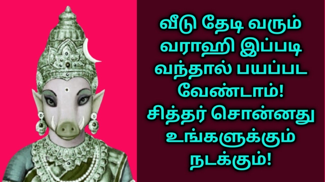 சித்தர் சொன்னது உங்களுக்கும் நடக்கும்/வீடு தேடி வரும் வராஹி இப்படி வந்தால் பயப்பட வேண்டாம்/Varahi