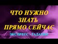 ЧТО ВАМ НУЖНО ЗНАТЬ ПРЯМО СЕЙЧАС.   Экспресс-гадание Таро Татьяна Шаманова