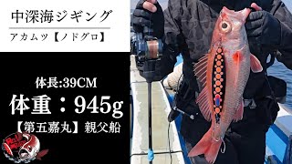 【中深海ジギング・Red impulse】なかなかお目にかかれないサイズ