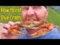 How to PROPERLY Pick & Eat Maryland Blue Crabs