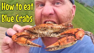 How to PROPERLY Pick & Eat Maryland Blue Crabs