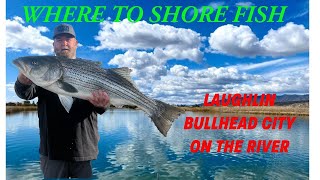 WHERE TO SHORE FISH The River Laughlin Nevada and Bullhead City Arizona