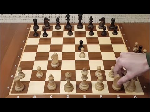 Видео: Играй первым ходом Е4 и ставь МАТ за 2 хода. Одна ЛОВУШКА и больше ничего учить не надо! Шахматы.