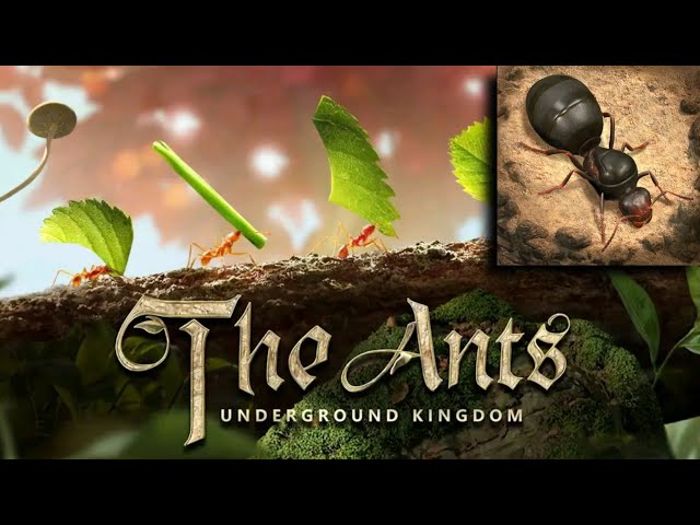 Amazing Ants Game