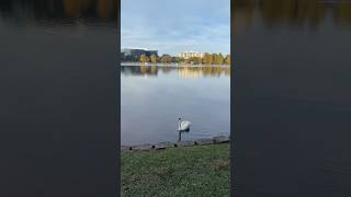 My A Sent Me This Beautiful Creature