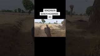 Maganin Sanyi Kowane Iri