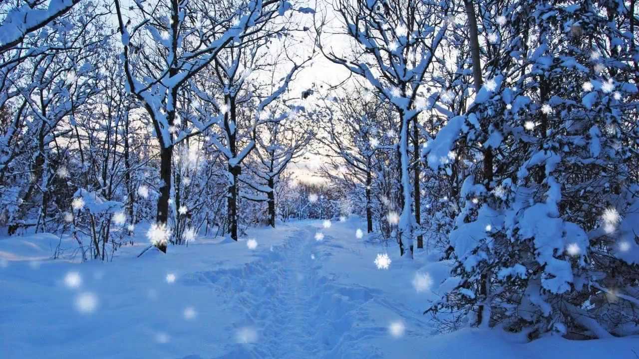 Concurso Snow Hero Happy Birthday Youtube