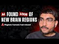 This AI Found What 30 Years of Neuroscience Missed