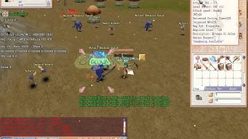 Flyff Weapon Leveling System