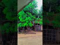 #naturalbeauty #nature #howtosolvemathspuzzles #naturelovers @Iqranexus #mathplus