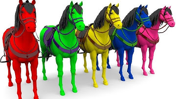 Nhong nhong nhong - con ngựa,con gấu,con bò - nhạc thiếu nhi remix sôi động