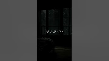 اكتب شيء تؤجر عليه..😴💚 / القارئ عبد الرحمن مسعد | قران كريم