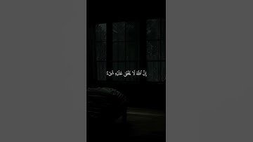 اكتب شيء تؤجر عليه..😴💚 / القارئ عبد الرحمن مسعد | قران كريم