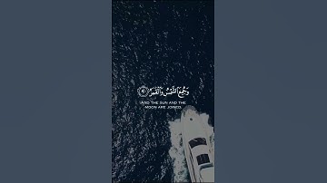 الآيات: 7 8 9 10 من سورة القيامة للقارئ الشيخ رعد الكردي