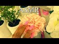 ASMR In Target ✨Fast Tapping, Scratching...❤️ (So Tingly 😩)~