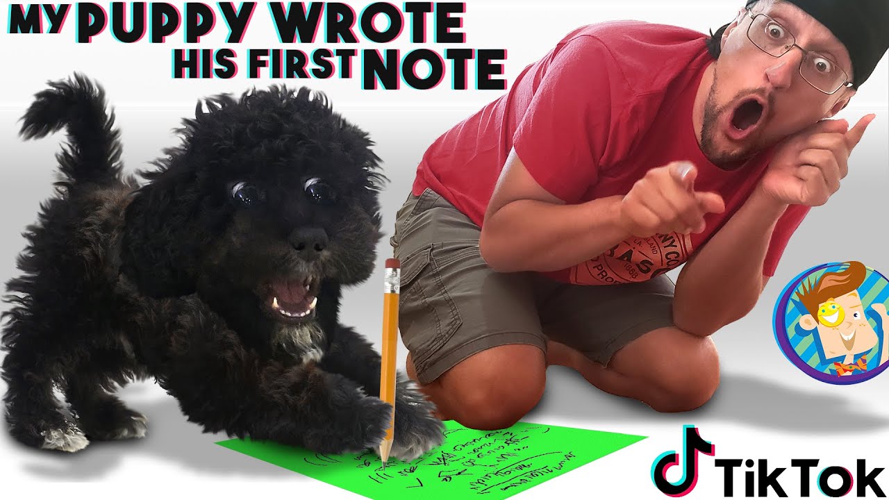 Our Puppy Wrote His First Note & Our Tik Tok Had A Big Fail (Fv Family  Vlog) - Youtube