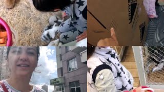 ВЛОГ : готовимся к переезду / пакую коробки / Зов Джунглей