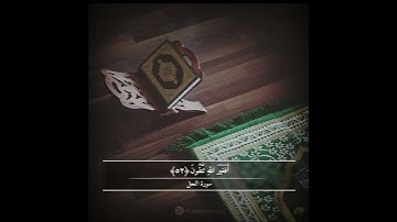 وله ما في السماوات والأرض وله الدين واصبا أفغير الله تتقون سورة النحل  بصوت القارئ عبدالرحمن مسعد