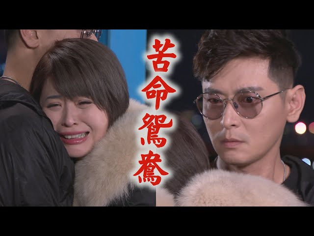 【炮仔聲】EP289 命運捉弄老錯過！苦命鴛鴦至明、家芸終重逢