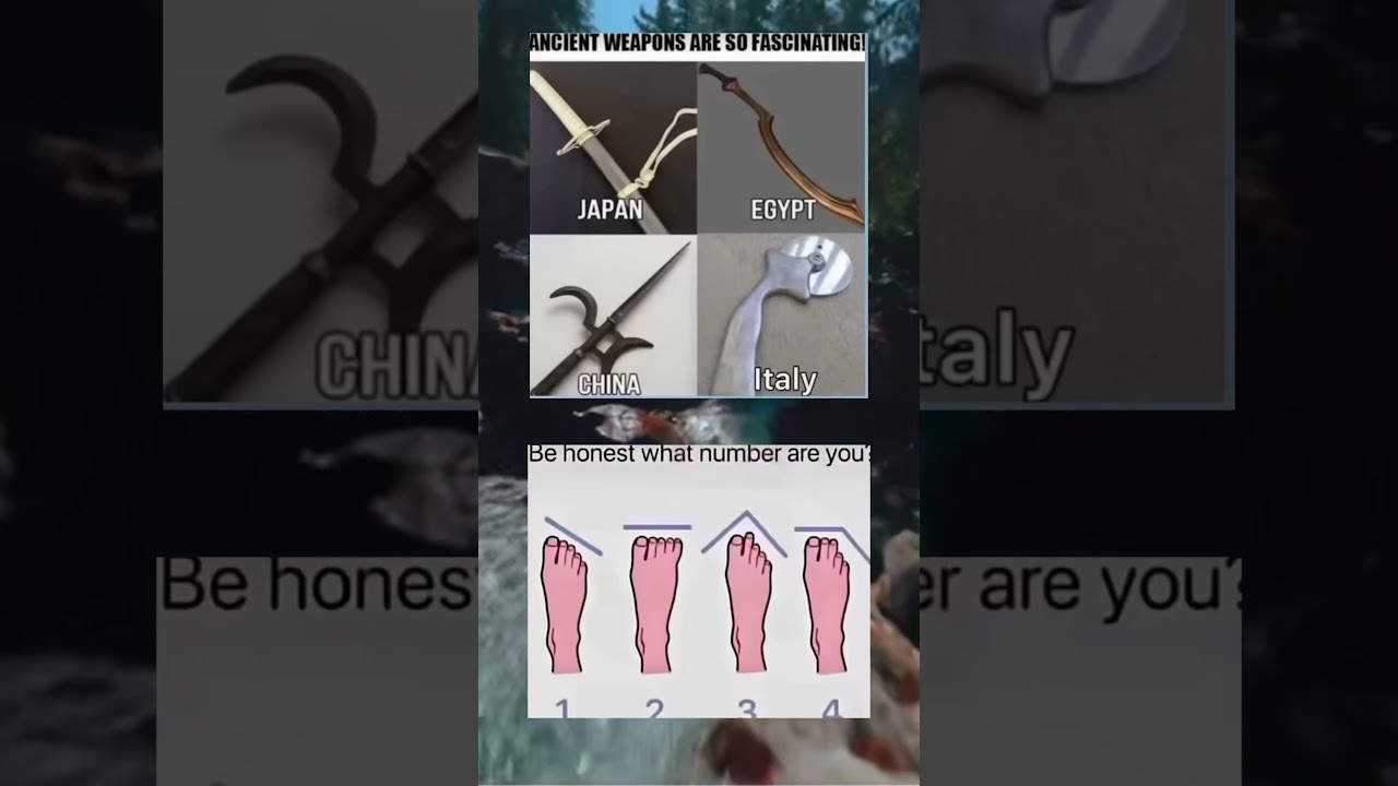 4a Memesdaily Zyxabc Funnyimages Memes