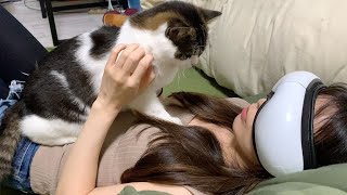 ママ何してるの！？様子が気になる息子猫