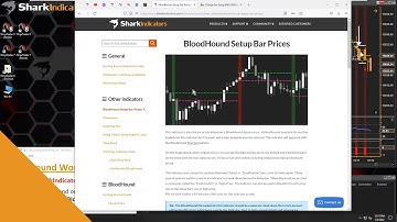Introduction to the BloodHound Setup Bar Prices Indicator