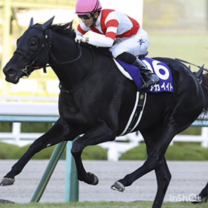 東海ステークス2024 現時点考察 負けられない戦い! YouTube