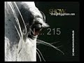 اغنية سلامات سلامات لعبد الحليم حافظ