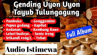 Gending Tayub Tulungagung -  Menenangkan Hati - Full Album Mp3