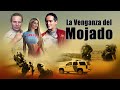 La venganza del mojado  la pelicula  accion y narcos en espaol  nueva y completa 2024