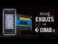 🇬🇧 Exquis - Use with Cubase 14/15