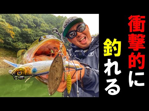 気温５度でデカバス連発する釣りがヤバすぎる！！【しょごたん驚愕】