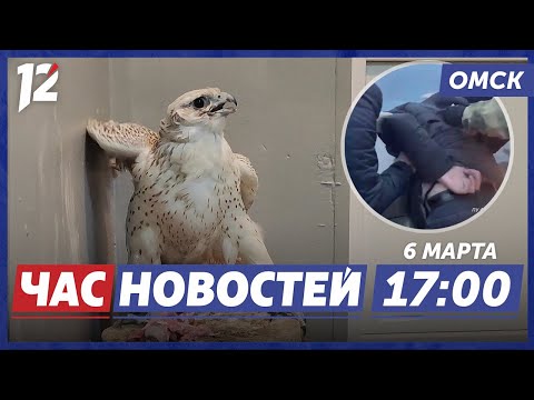 Приговор контрабандисту / Не довезли цветы / Автоледи. Новости Омска