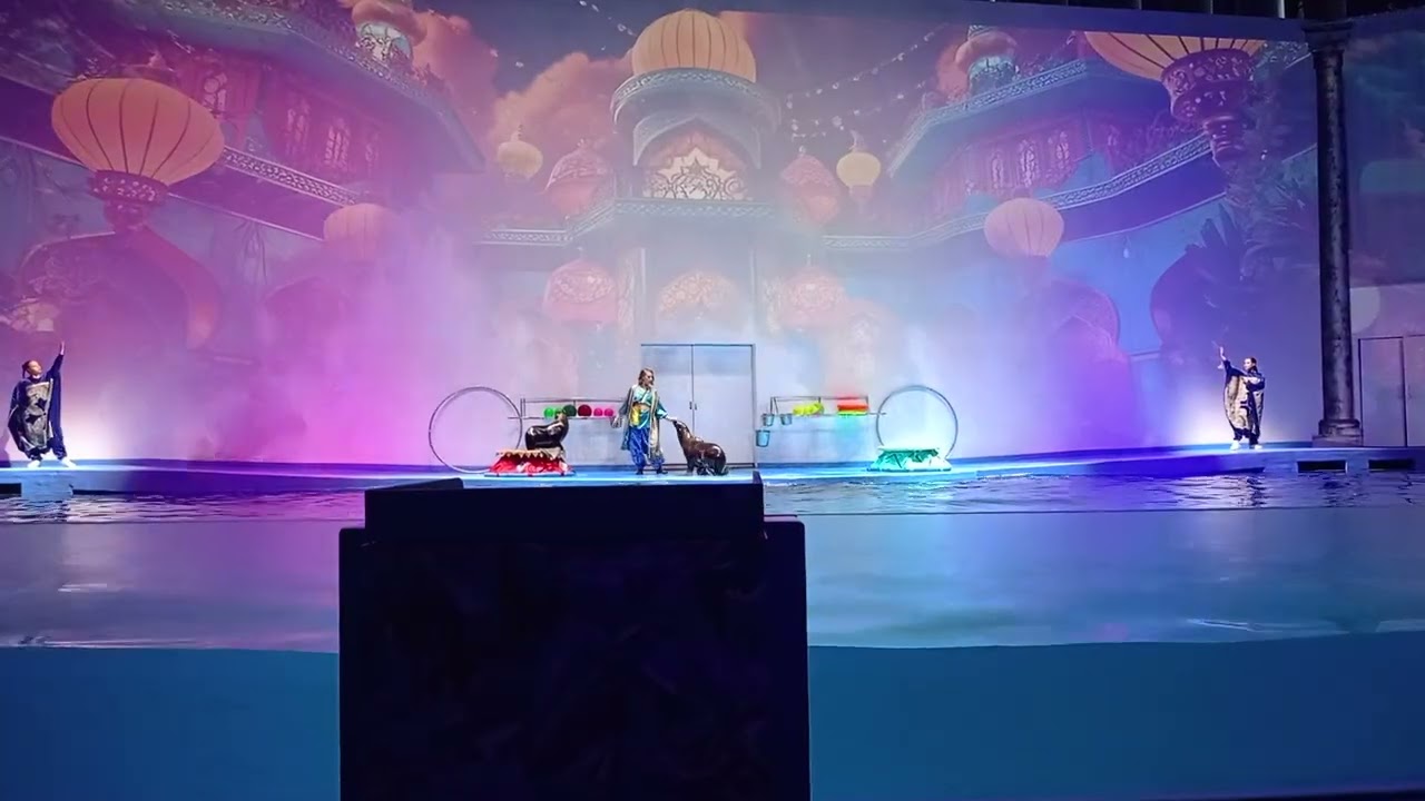 Поход в дельфинарии екатеринбург ставте лайки и подпишись на канале