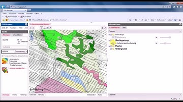 GIS Browser Lebensraumkartierung
